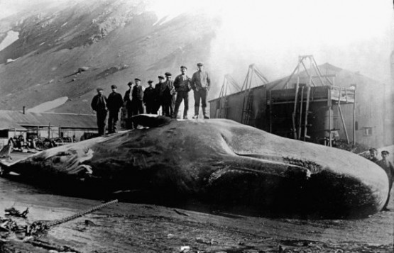 Jonas-II-James-Bartley-and-the-whaling-ship-Star-of-The-East-555x3571